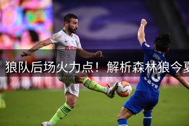 狼队后场火力点！解析森林狼今夏重磅引援鲍尔&海兰德