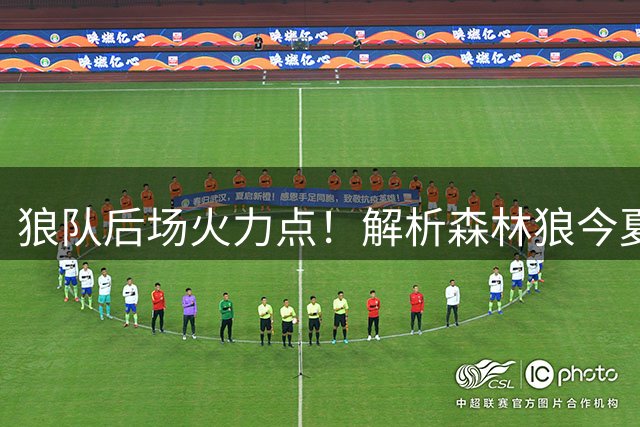 狼队后场火力点！解析森林狼今夏重磅引援鲍尔&海兰德